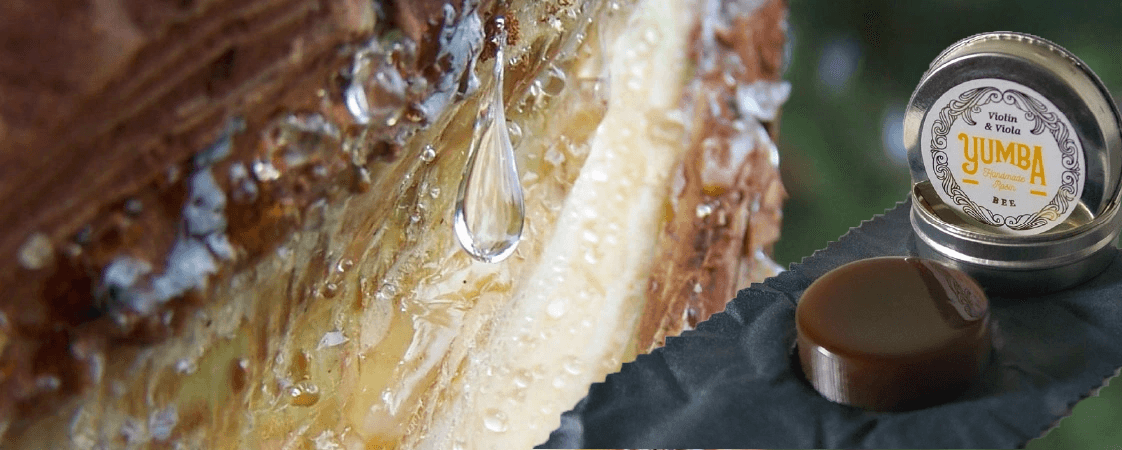 Канифоль из Аргентины!