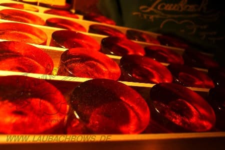 Хвойні породи