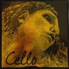 PIRASTRO EVAH PIRAZZI GOLD струни для віолончелі