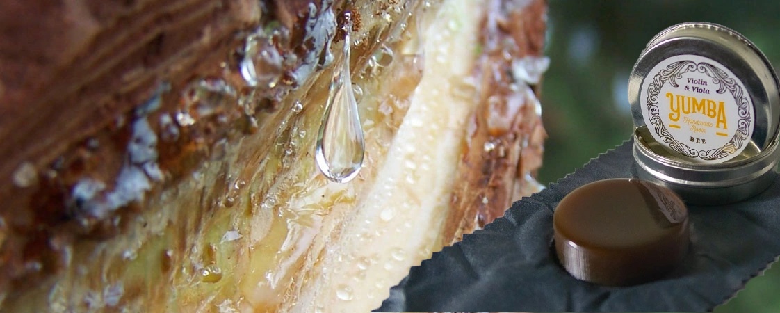 Rosin from Argentina!