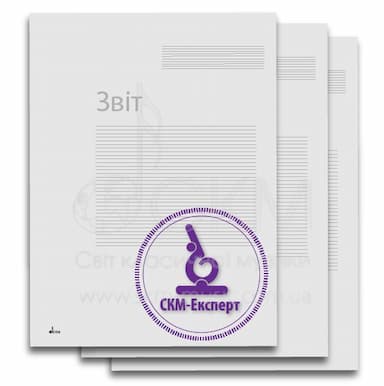 Звіт про оцінку вартості майна (музичних інструментів) з метою нарахування амортизаційніх витрат