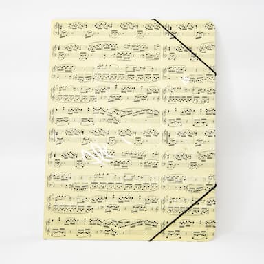 Папка на гумках (пластикова) «Ноти»