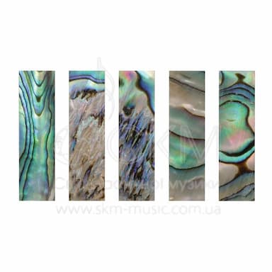 Перламутровая пластина для колодки Paulus (30 х 8,5 мм), скрипка-альт (abalone green)