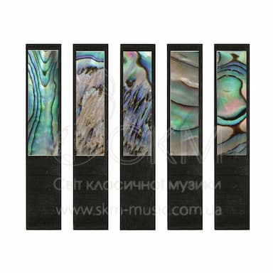 Перламутровая пластина Paulus с подкладкой из черного дерева, контрабас (abalone green)