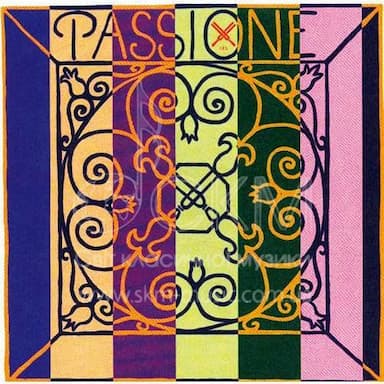 Струна для скрипки Ре PIRASTRO PASSIONE, жила/серебро